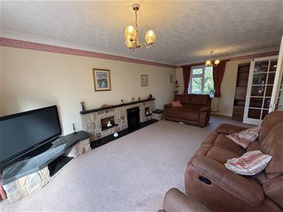 Picture 7